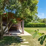 Roma فيلة